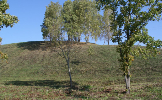 22. Pamiškės piliakalnis.jpg